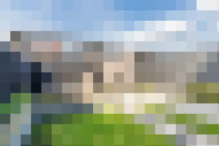 Oogstpad 4 Scherpenzeel thumbnail 39