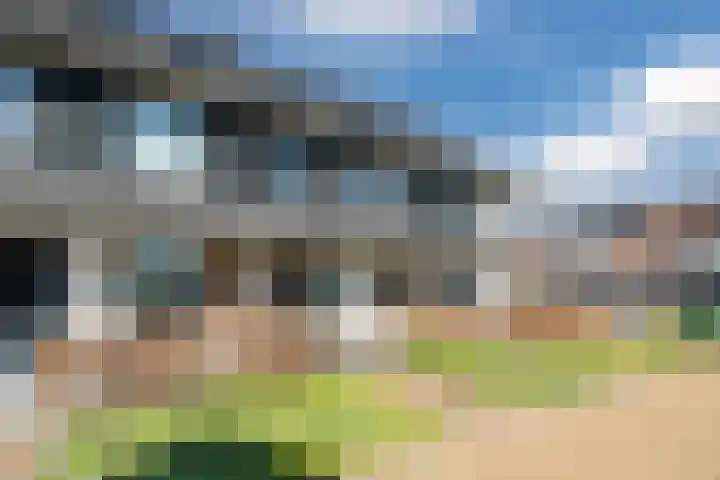 Oogstpad 4 Scherpenzeel thumbnail 4
