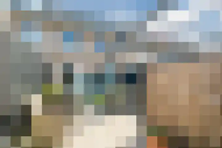 Oogstpad 4 Scherpenzeel thumbnail 40