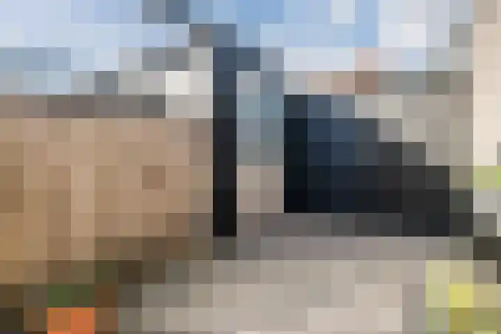 Oogstpad 4 Scherpenzeel thumbnail 41