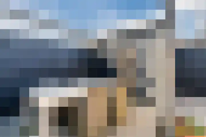 Oogstpad 4 Scherpenzeel thumbnail 42