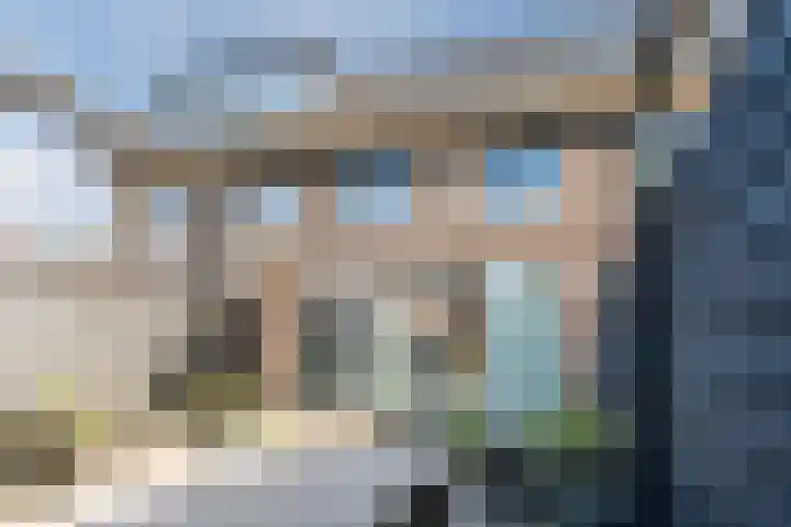 Oogstpad 4 Scherpenzeel thumbnail 43