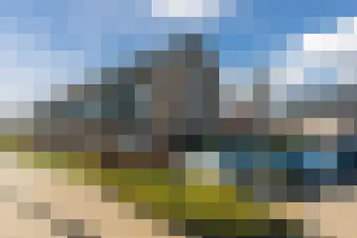 Oogstpad 4 Scherpenzeel thumbnail 44