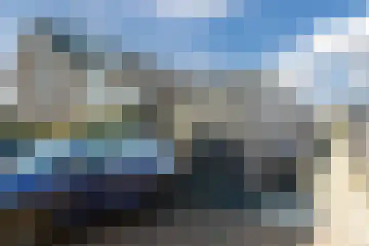 Oogstpad 4 Scherpenzeel thumbnail 45