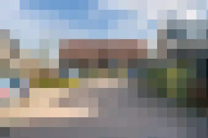 Oogstpad 4 Scherpenzeel thumbnail 46