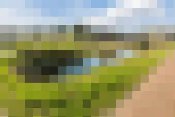Oogstpad 4 Scherpenzeel thumbnail 48