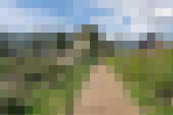 Oogstpad 4 Scherpenzeel thumbnail 50