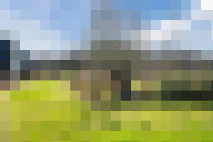 Oogstpad 4 Scherpenzeel thumbnail 51