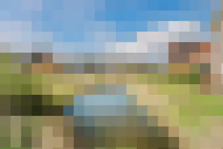Oogstpad 4 Scherpenzeel thumbnail 52