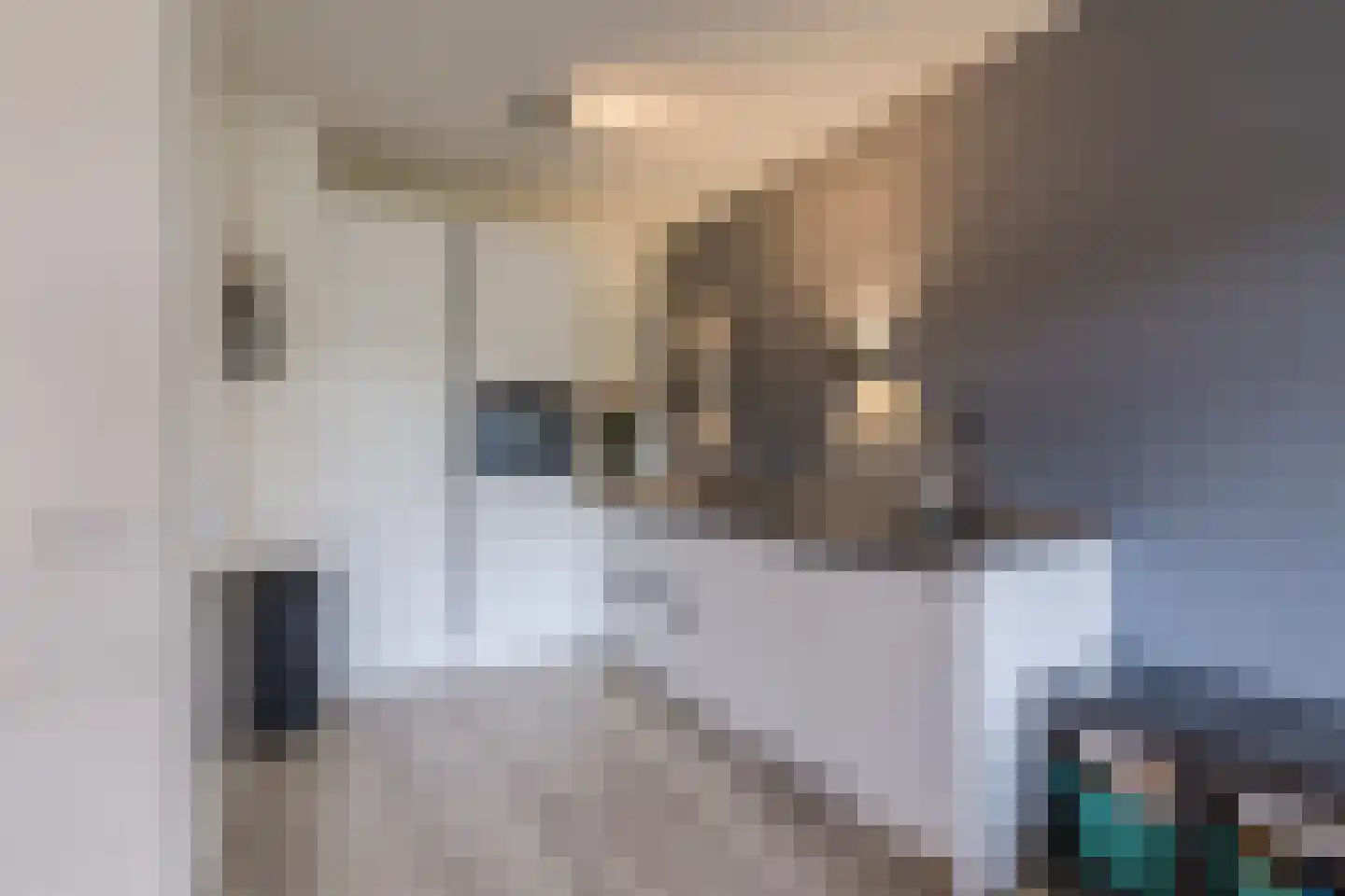 Oogstpad 7 Scherpenzeel thumbnail 10