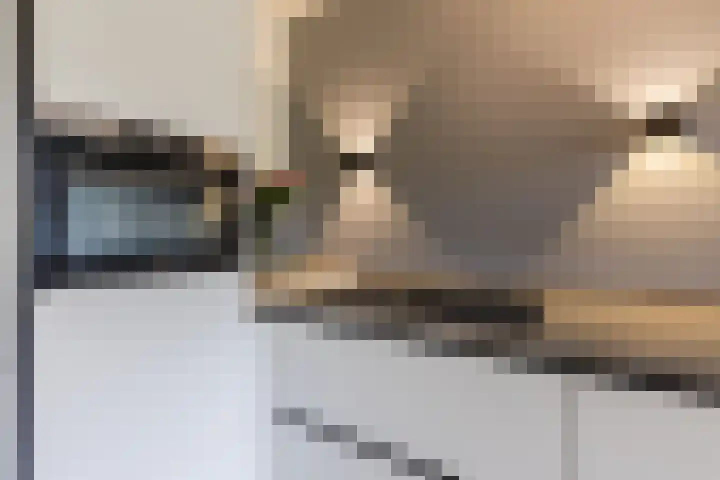 Oogstpad 7 Scherpenzeel thumbnail 11