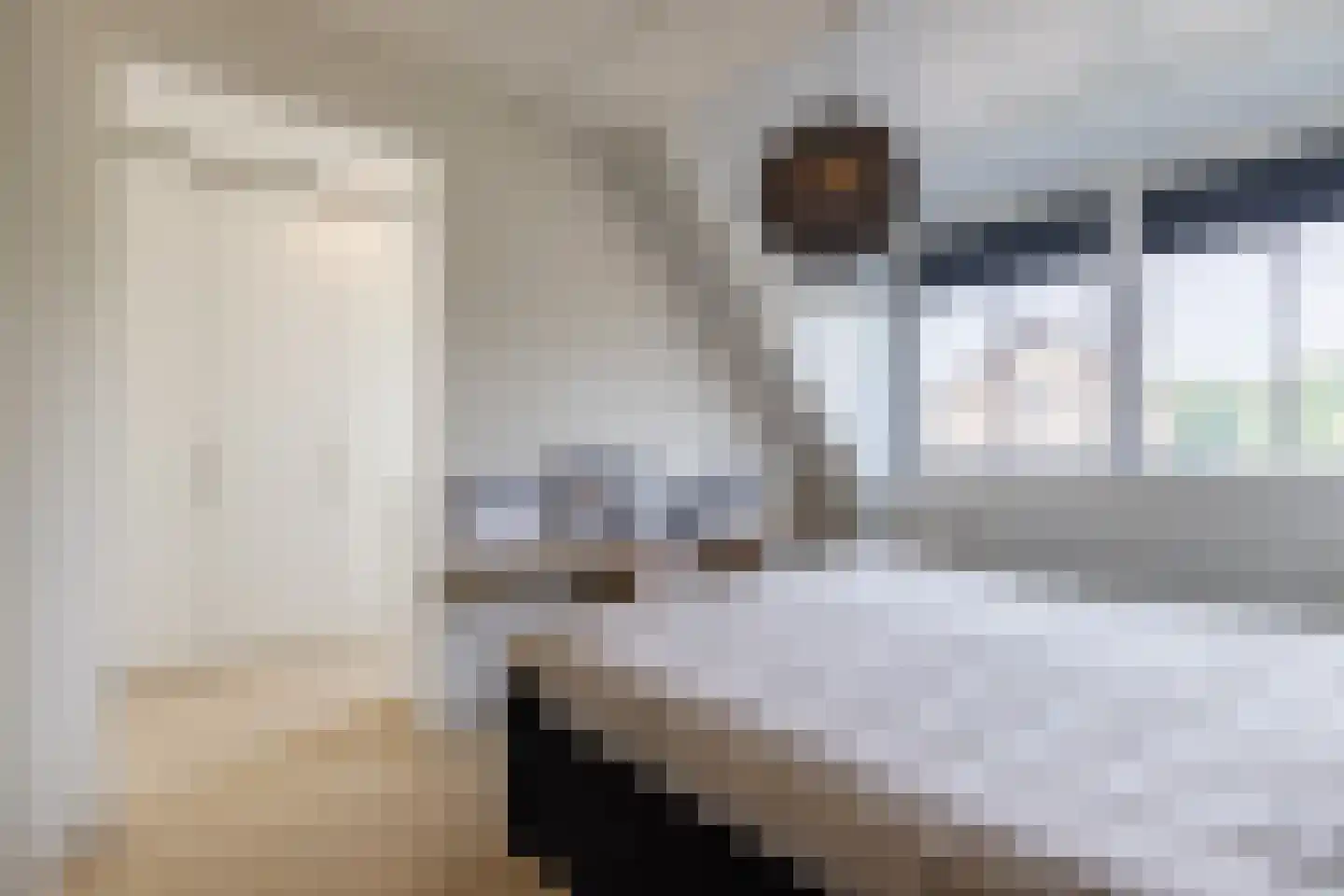 Oogstpad 7 Scherpenzeel thumbnail 17