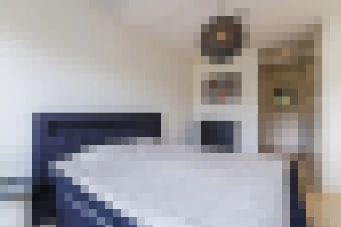 Oogstpad 7 Scherpenzeel thumbnail 18