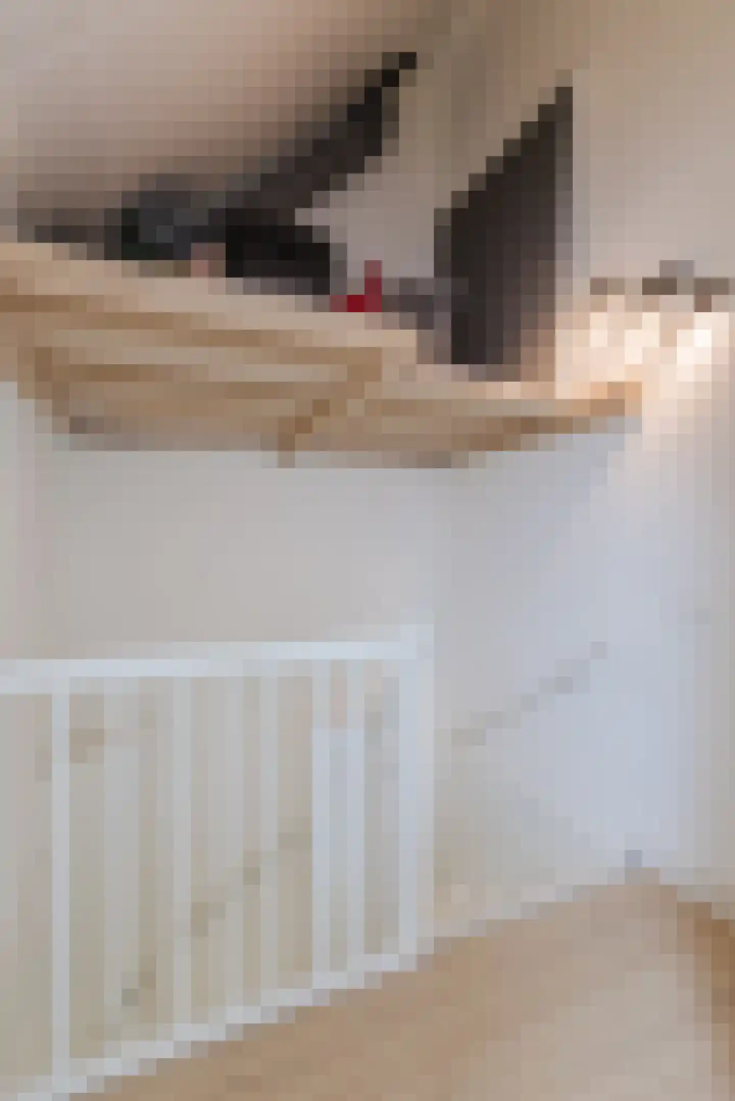 Oogstpad 7 Scherpenzeel thumbnail 27