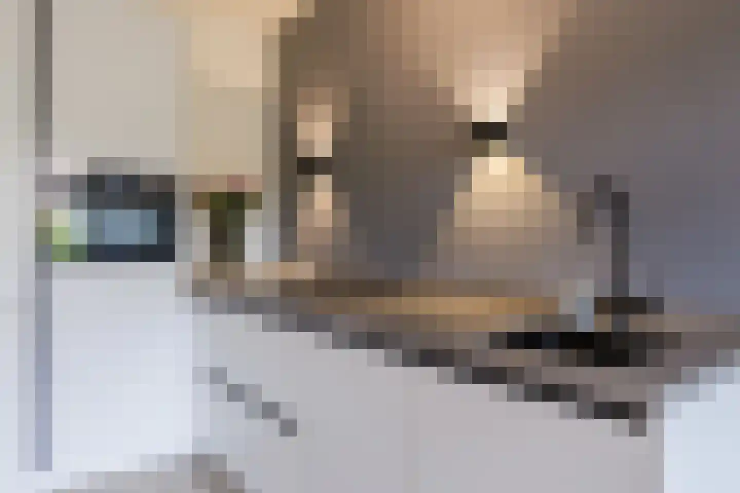 Oogstpad 7 Scherpenzeel foto 3
