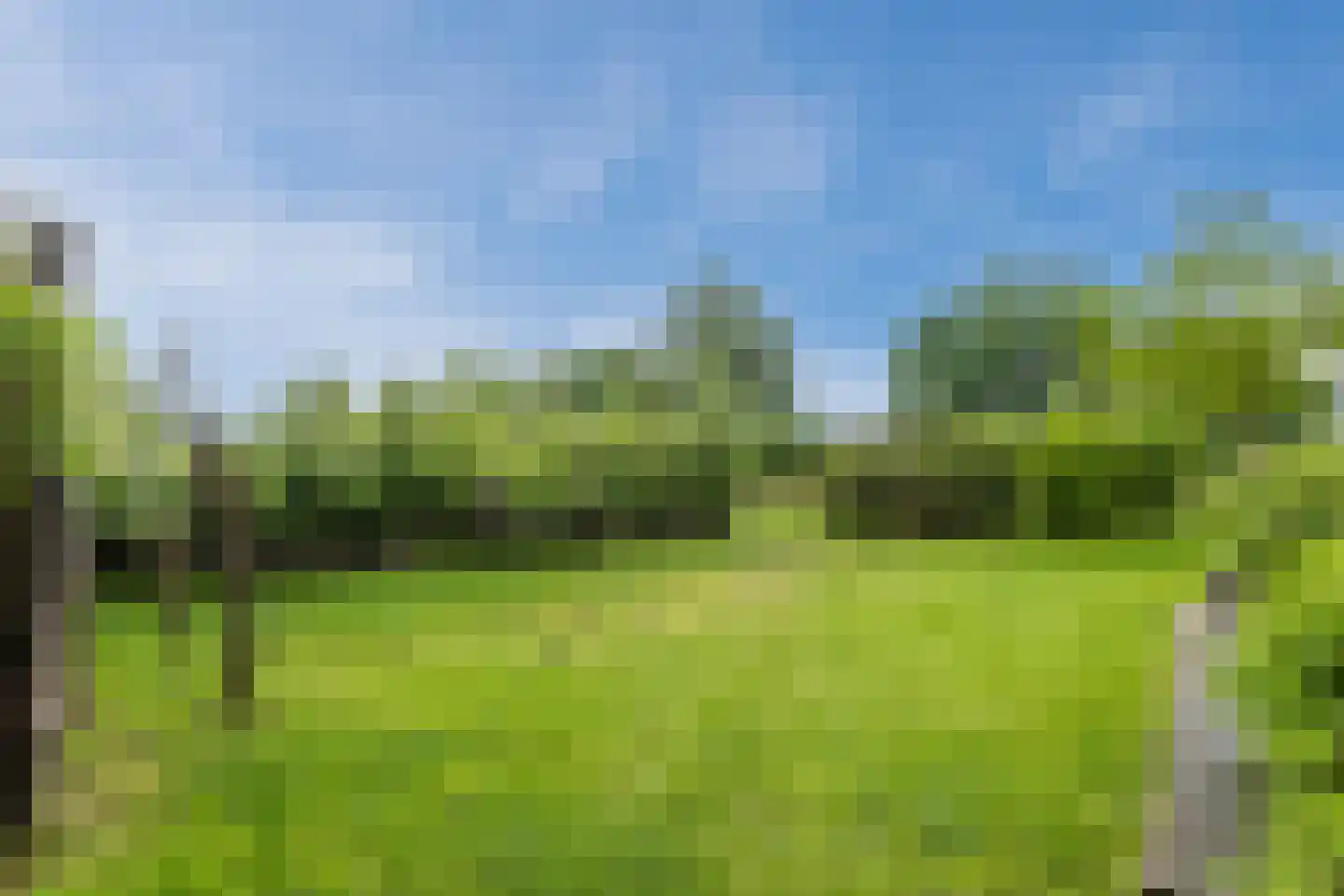 Oogstpad 7 Scherpenzeel thumbnail 36