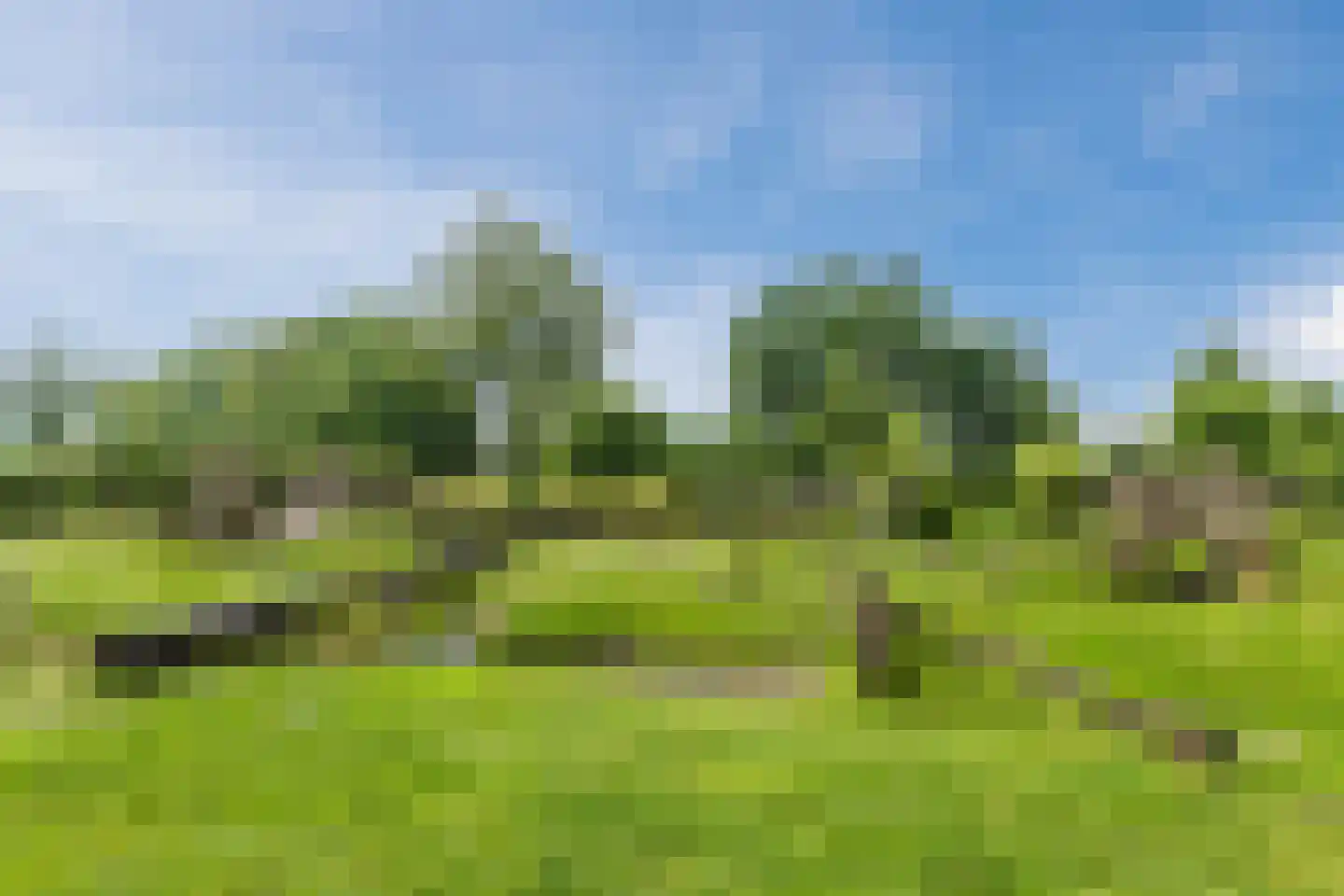 Oogstpad 7 Scherpenzeel thumbnail 37