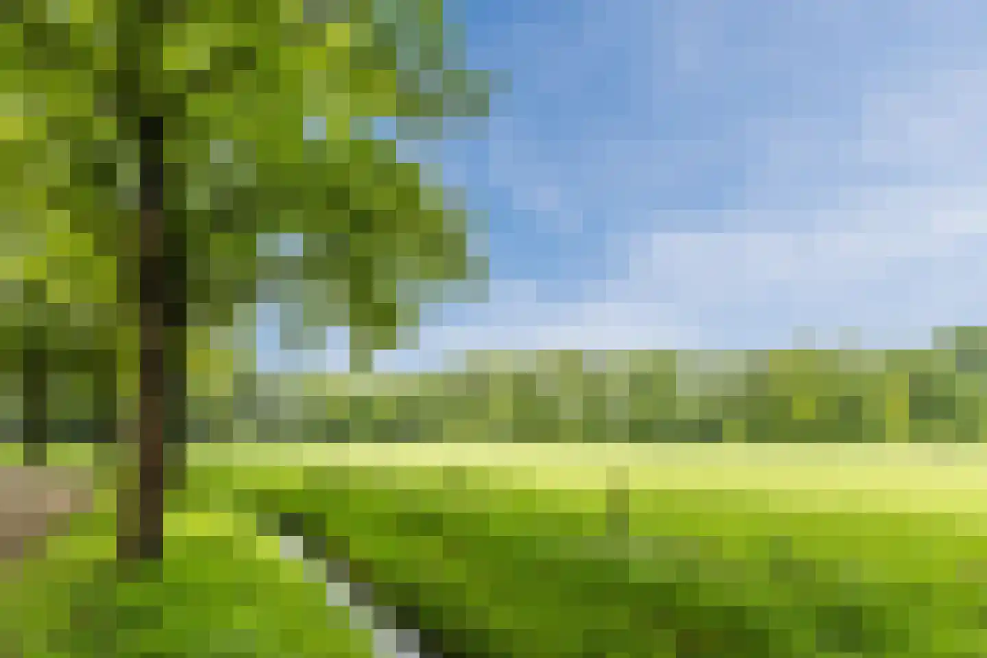 Oogstpad 7 Scherpenzeel thumbnail 38