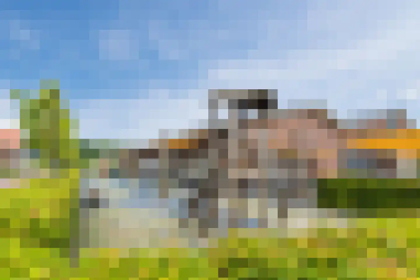 Oogstpad 7 Scherpenzeel thumbnail 39