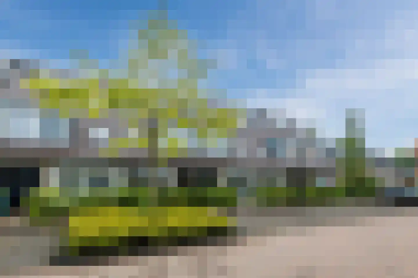 Oogstpad 7 Scherpenzeel thumbnail 42