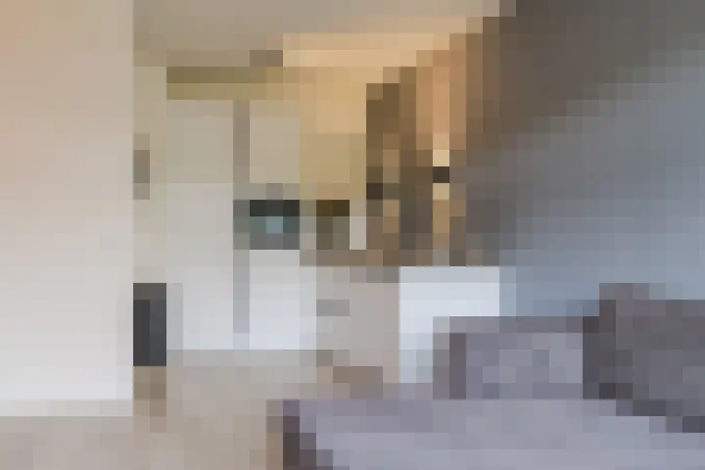 Oogstpad 7 Scherpenzeel thumbnail 6