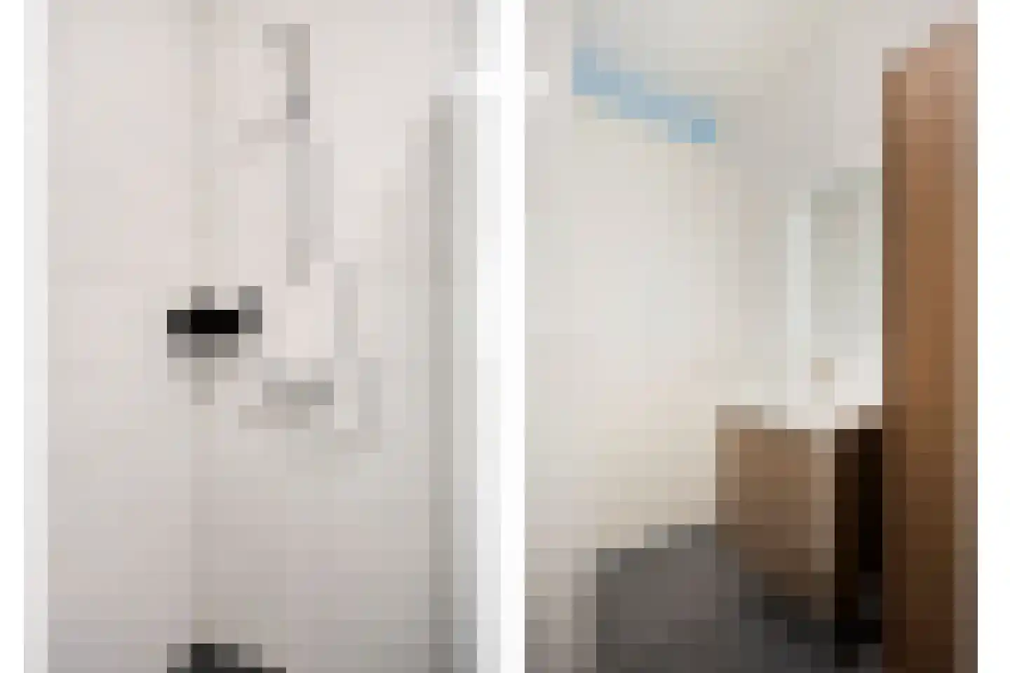Oogstpad 9 Scherpenzeel thumbnail 12
