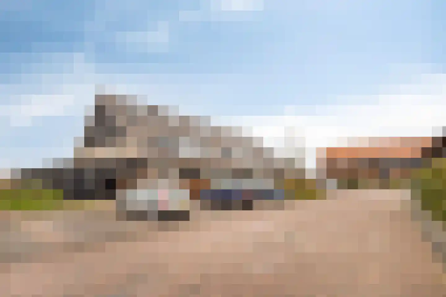 Oogstpad 9 Scherpenzeel thumbnail 23