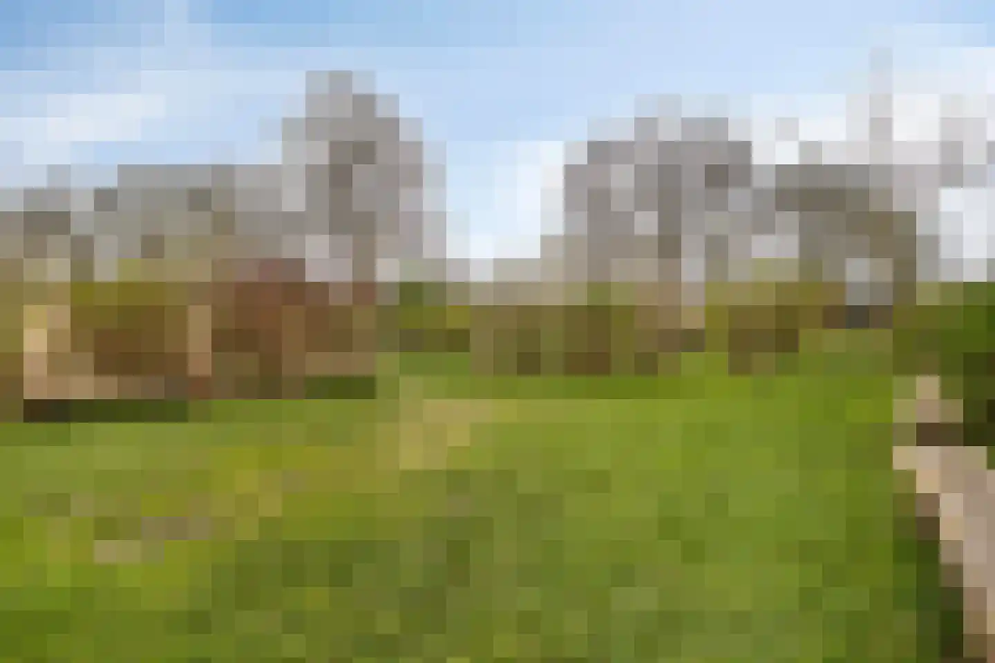 Oogstpad 9 Scherpenzeel thumbnail 25