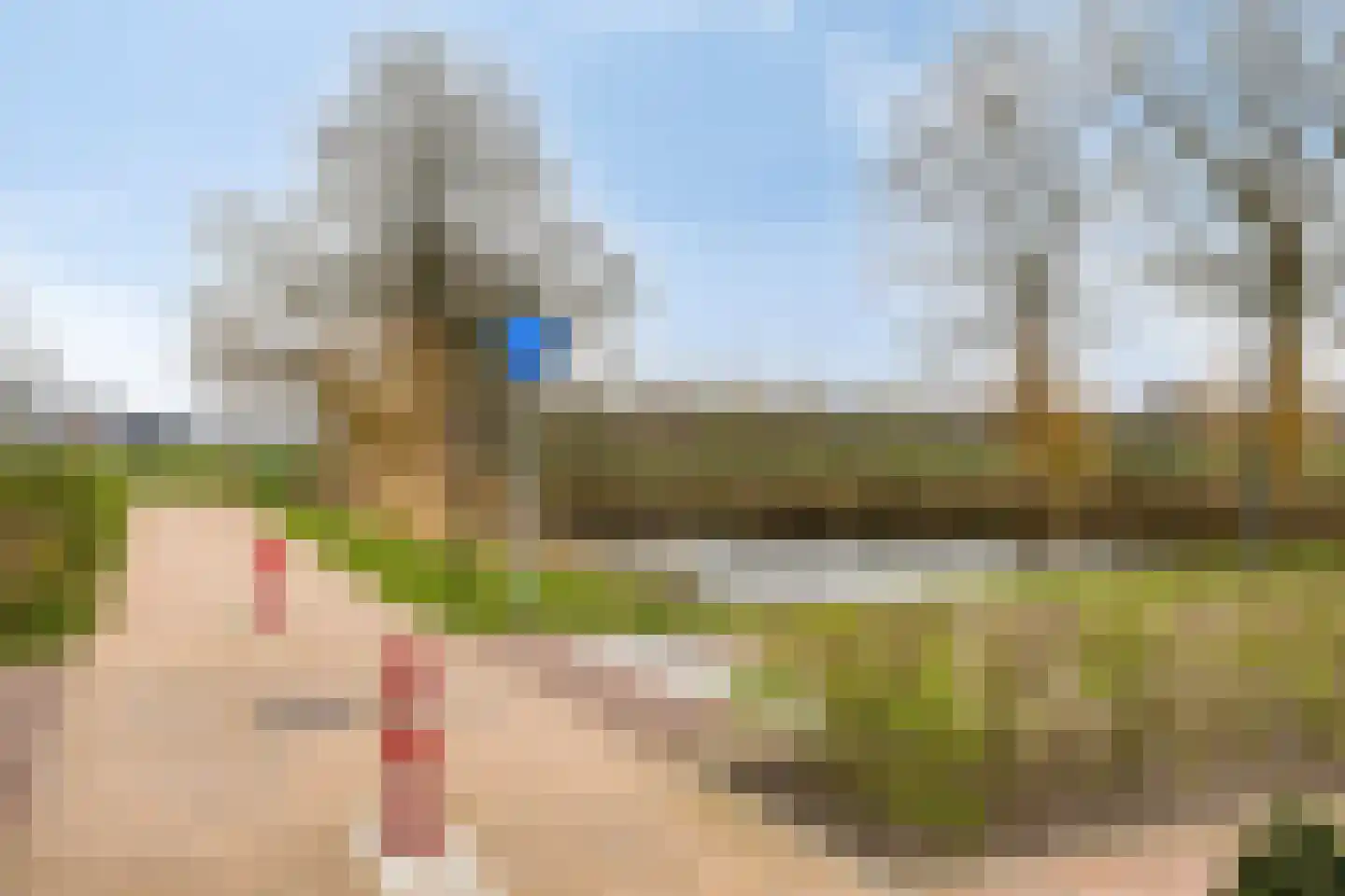 Oogstpad 9 Scherpenzeel thumbnail 26