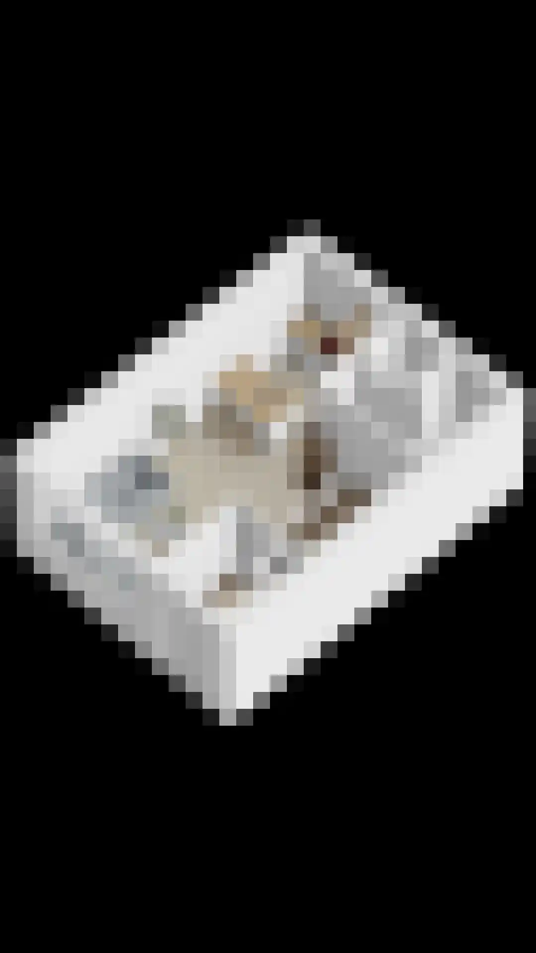 Oogstpad 9 Scherpenzeel thumbnail 32