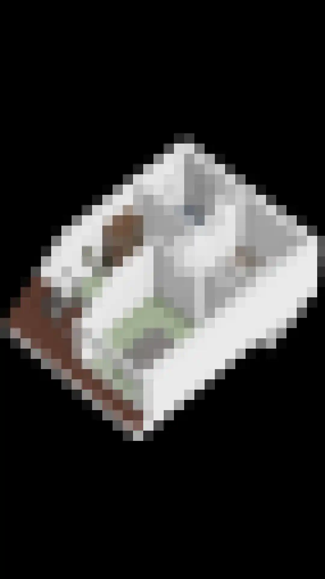 Oogstpad 9 Scherpenzeel thumbnail 33