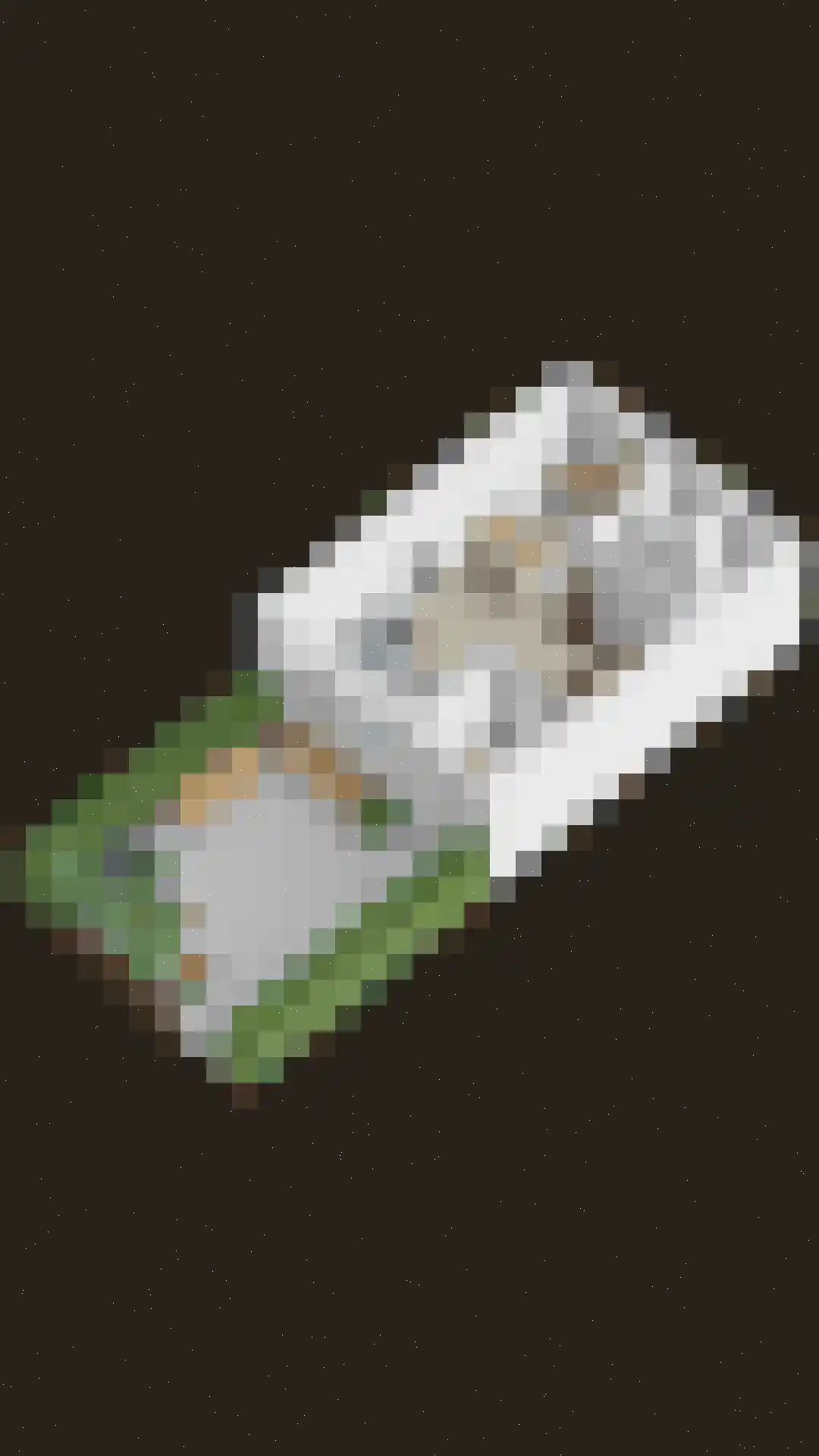 Oogstpad 9 Scherpenzeel thumbnail 35