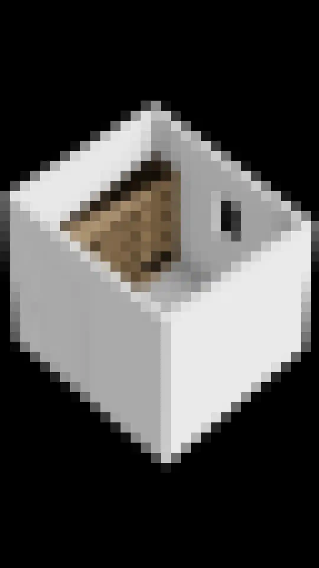 Oogstpad 9 Scherpenzeel thumbnail 36