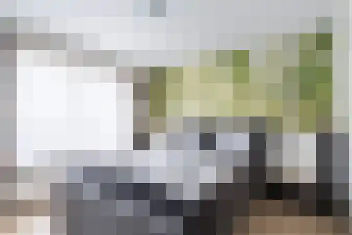 Oogststraat 10 Weert thumbnail 19