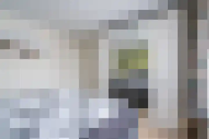 Oogststraat 10 Weert thumbnail 20