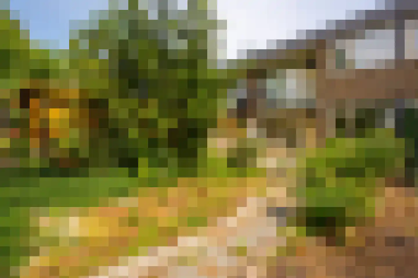 Oogststraat 3 1 Amsterdam thumbnail 12