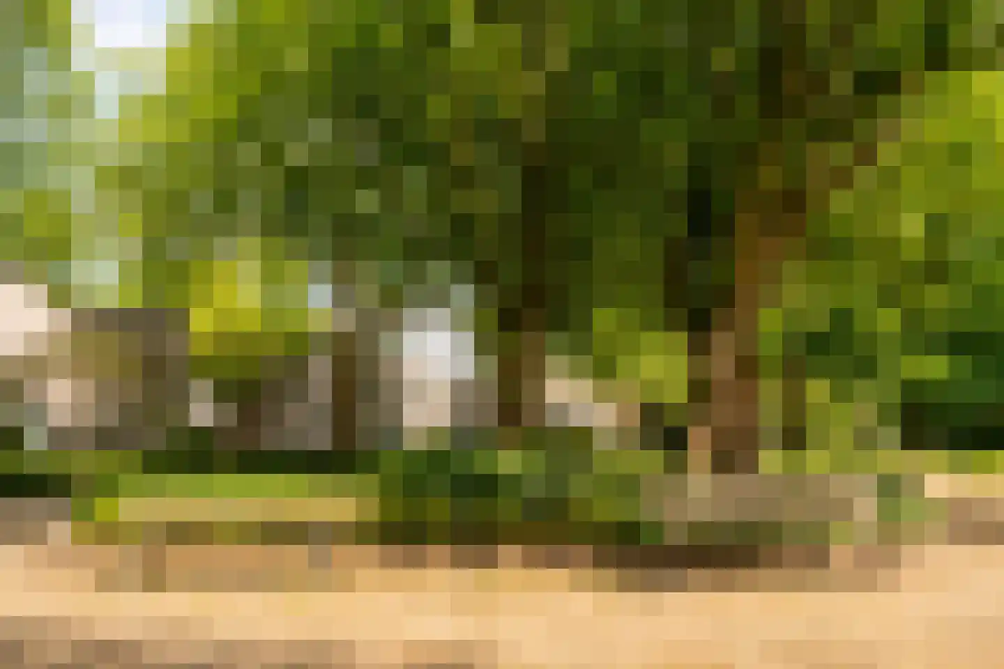 Oogststraat 3 1 Amsterdam thumbnail 15
