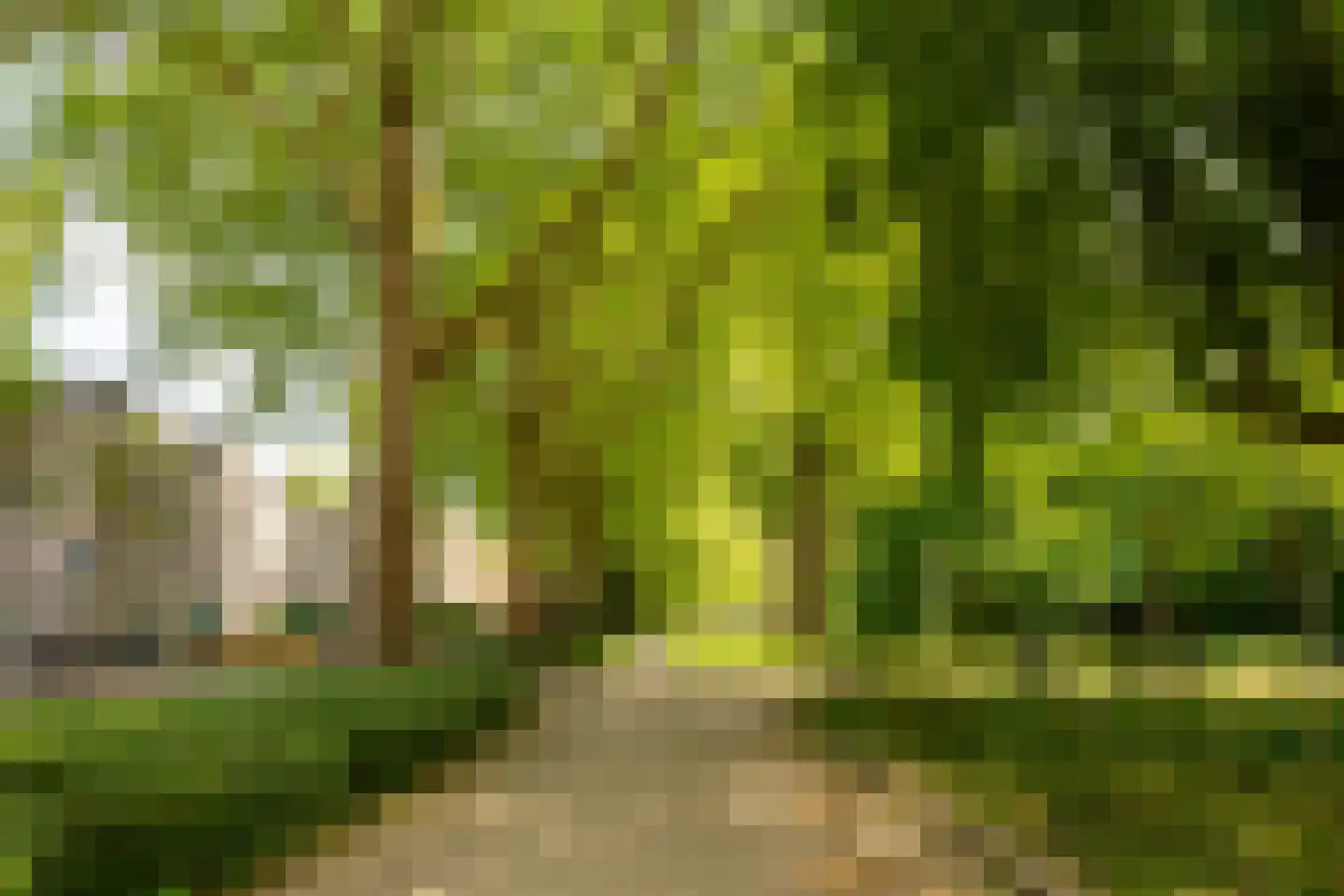 Oogststraat 3 1 Amsterdam thumbnail 16