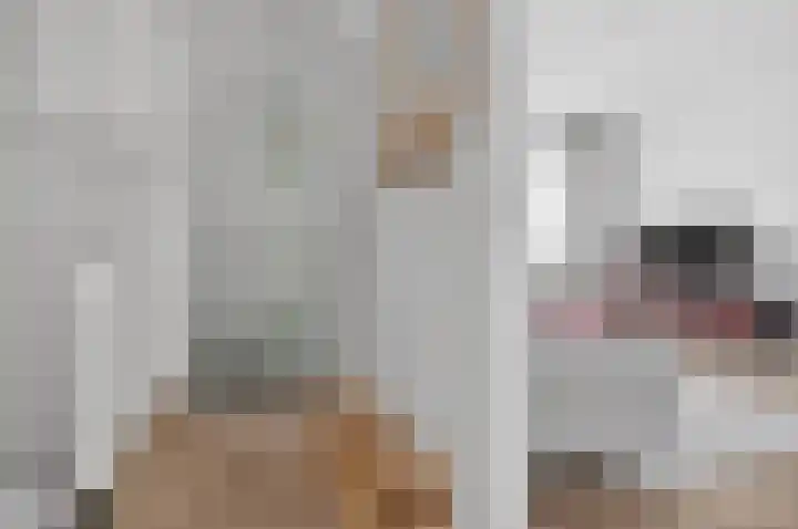 Oogststraat 43 Amsterdam thumbnail 16