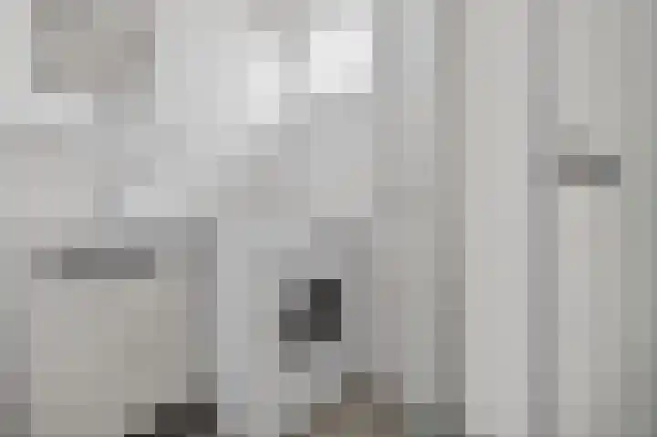 Oogststraat 43 Amsterdam thumbnail 18