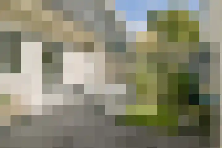 Oogststraat 61 Amsterdam thumbnail 11