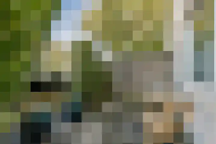 Oogststraat 61 Amsterdam thumbnail 4