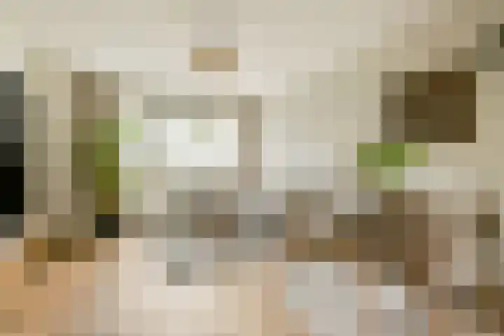 Oogststraat 61 Amsterdam thumbnail 6
