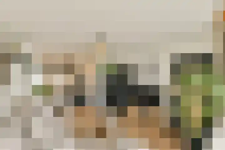 Oogststraat 61 Amsterdam thumbnail 7