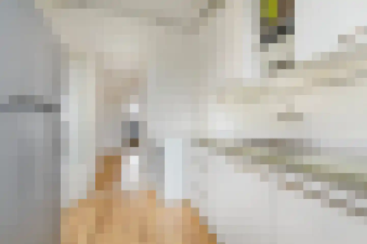 Oogststraat 7 1 Amsterdam thumbnail 19