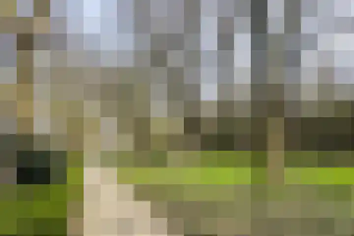 Oogststraat 7 H Amsterdam thumbnail 31