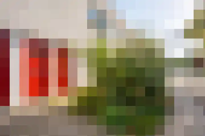 Oogststraat 72 Amsterdam thumbnail 11