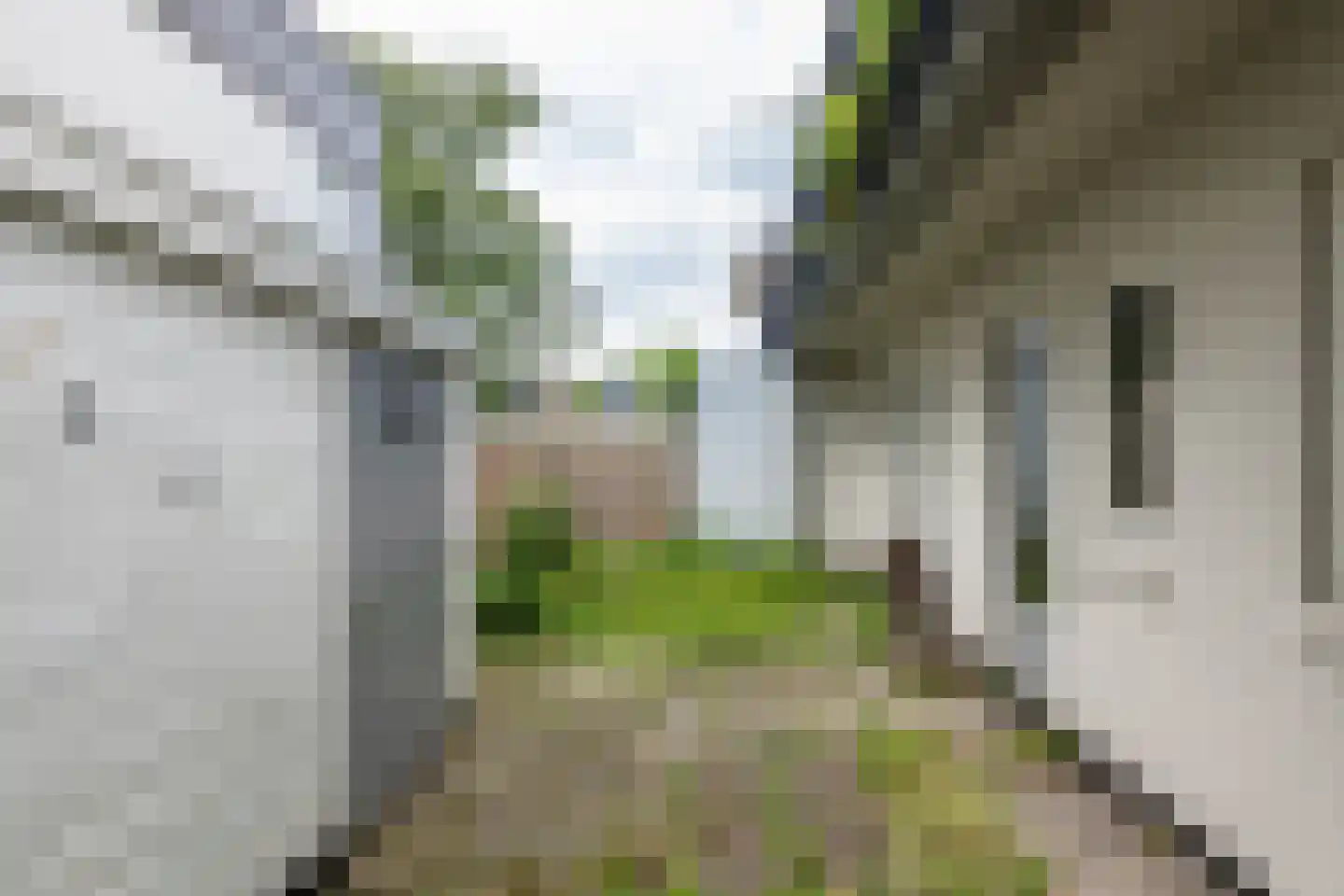 Oogststraat 79 Amsterdam thumbnail 15