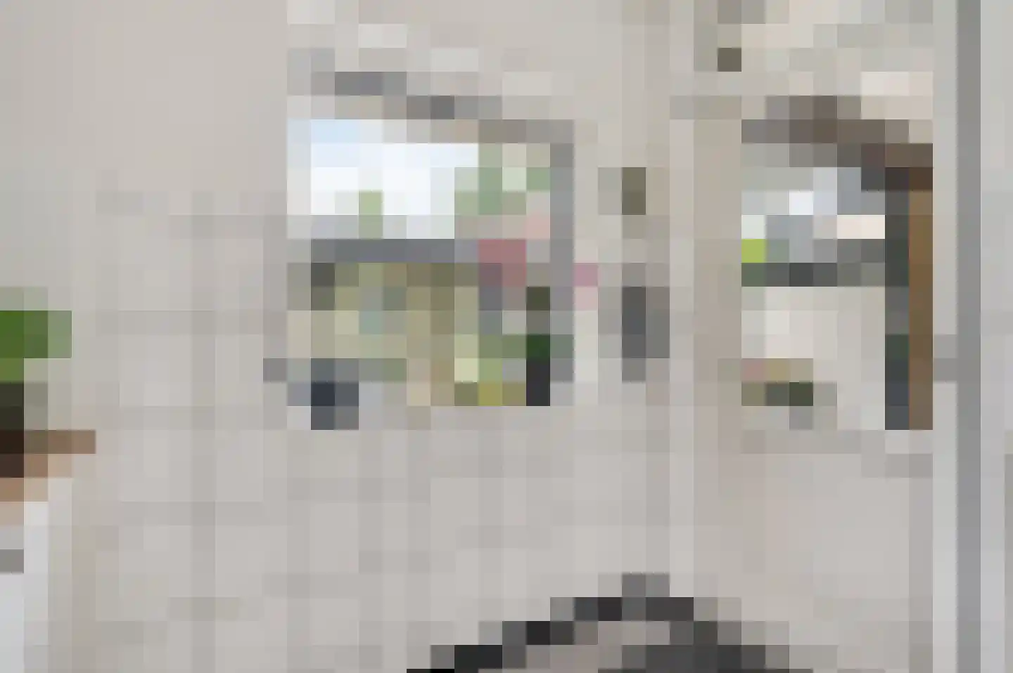 Oogststraat 8 Weert thumbnail 22