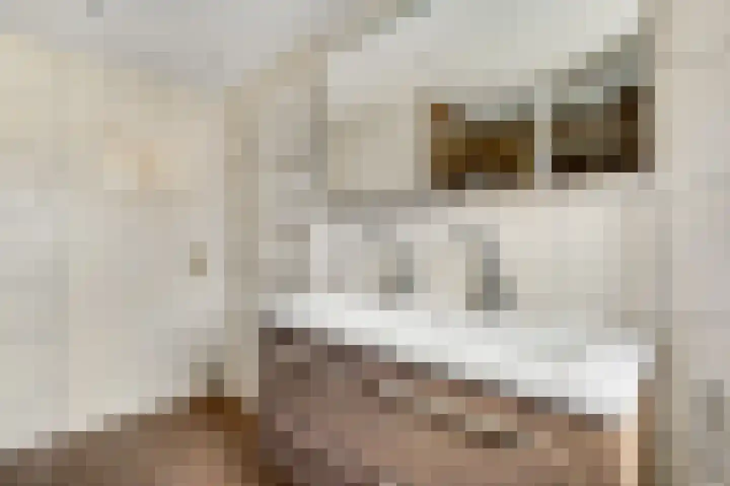 Oogststraat 8 Weert thumbnail 32